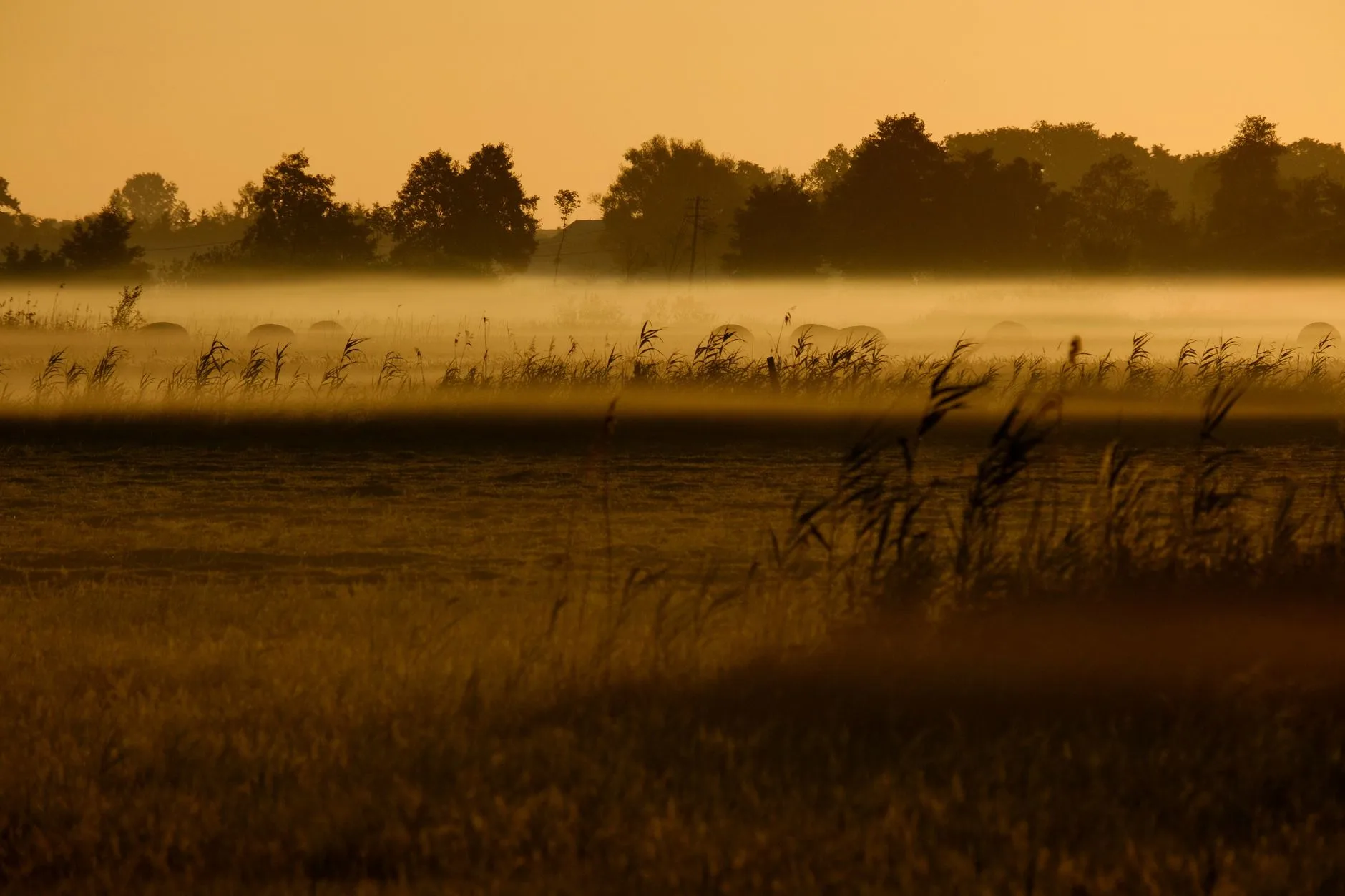 Golden sunrise over a misty field, God's rest available every morning before the day gets heavy